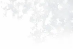 木|威斯汀大衣首里儀保站前